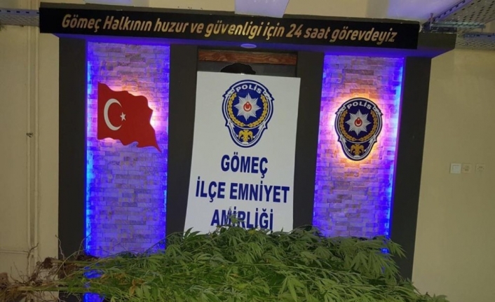  Ele Geçirilen Hint Kenevirleri