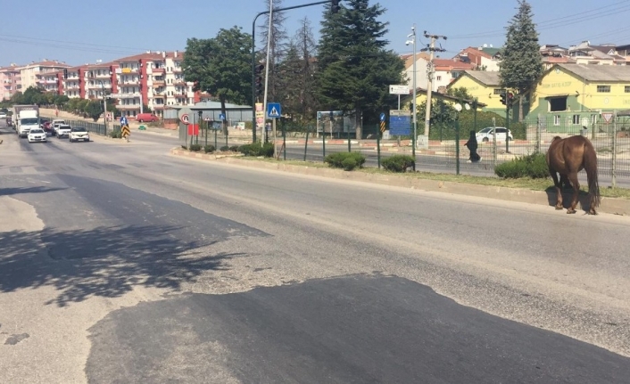  Bursa'nın İnegöl İlçesinde  Farklı Bölgelerinde Ana Yollara Çikan