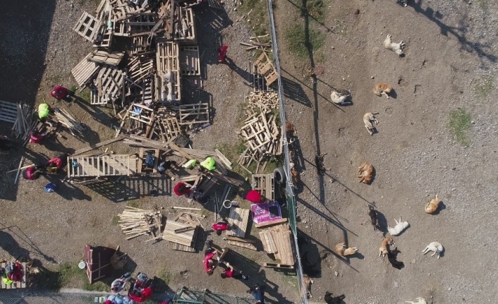  Kimsesiz Köpekleri Unutmayan Bursa'daki Gönüllü Arama Kurtarma Ekipleri, Kışı