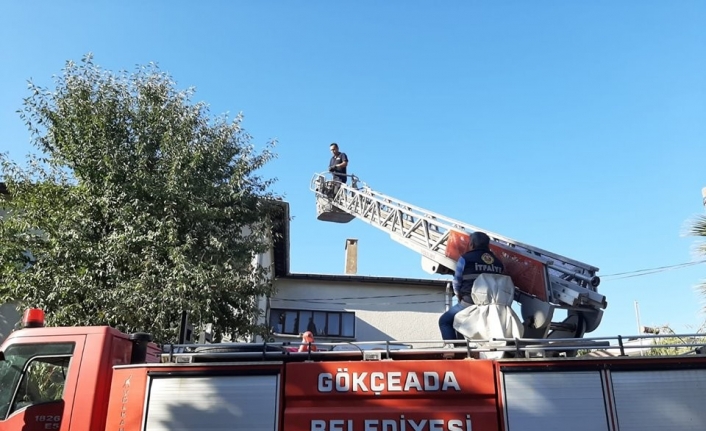  Çanakkale’nin Gökçeada İlçesinde Bir Evin Çatisinda Sıkışan Karga, İtfaiye