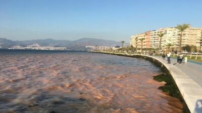  Patlayan Sular, Denizin Rengini Değiştirdi.