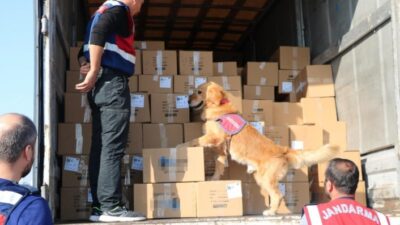 İzmir İl Jandarma Komutanlığı Tarafından Dün 122 Noktada, 958 Personel