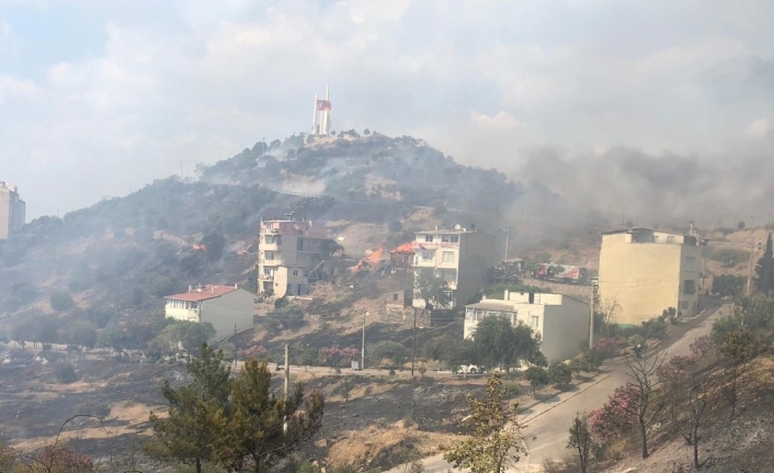 İzmir’in Balçova İlçesindeki Ormanlık Alanda, Henüz Belirlenemeyen Bir Sebeple Yangın