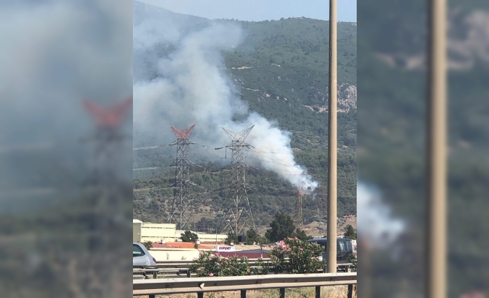  İzmir'in Bornova İlçesi Gökdere Mevkiindeki Ormanlık Alanda Çikan Yangında