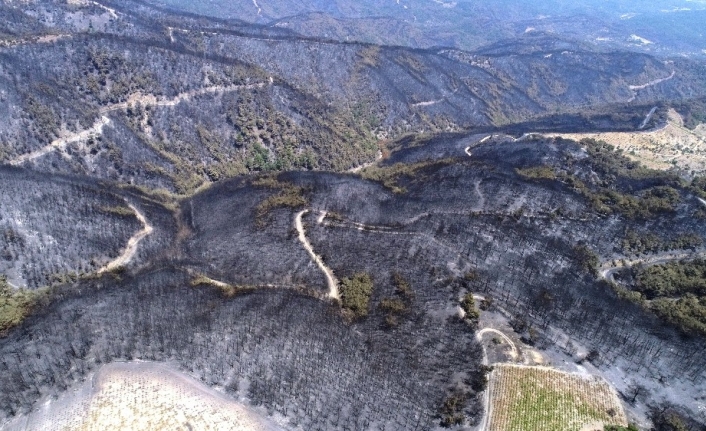 İzmir’de 18 Ağustos Günü Çikan Ve 53 Saat Sonra Kontrol