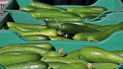 Türkiye İstatistik Kurumu (TÜİK) İzmir Bölge Müdürlüğünden alınan bilgilere göre,