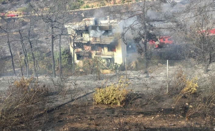 İzmir’in Balçova İlçesinde, Zeytinlik Alanda Çikan Ve İki Eve Sıçrayan