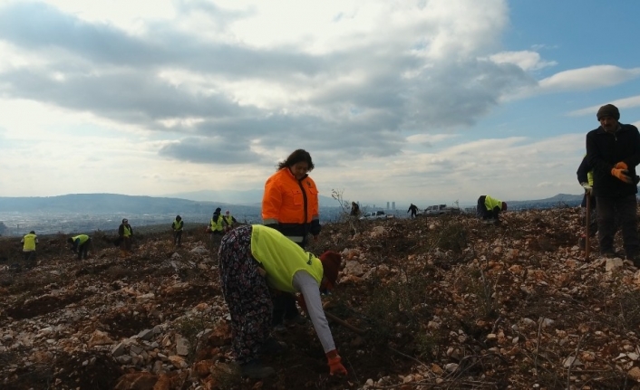 İzmir’in Bornova ilçesinde 112 hektar alan, 3 ay gibi kısa