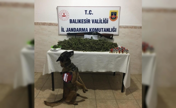  Balıkesir'de Jandarma Ekiplerinin Son 1 Ayda Düzenlediği Operasyonlarda 69