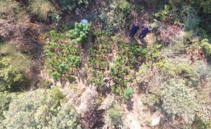  İzmir’in Ödemiş İlçesinde Jandarma Ekiplerinin Düzenlediği Operasyonda Yerleri Drone