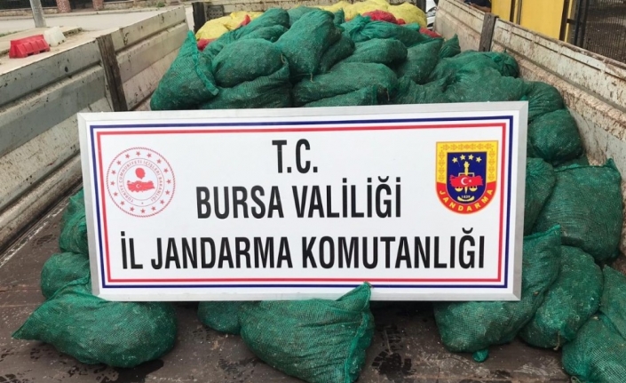 Bursa İl Jandarma Komutanlığına Bağlı Ekipler Tarafından Yapılan Operasyonda