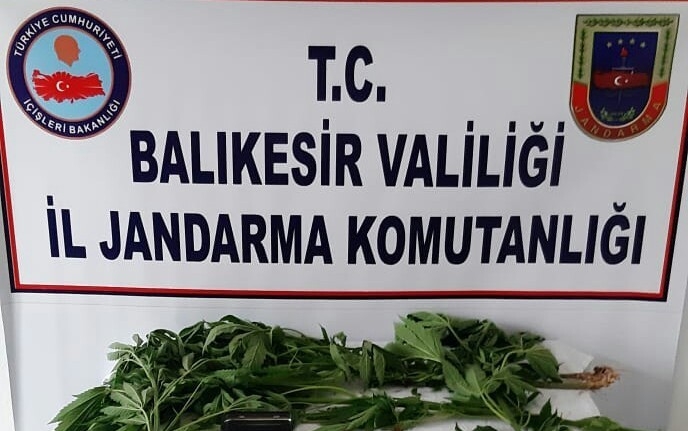 BALIKESİR'DE JANDARMA EKİPLERİ ZEHİR TACİRLERİNE GÖZ AÇTIRMIYOR