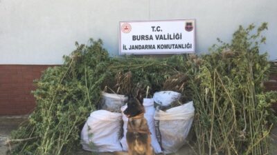  Bursa İl Jandarma Komutanlığı Ekipleri Mudanya İlçesinde Vatandaşın Şüphelenerek