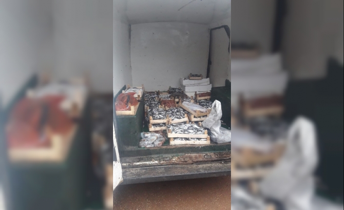 Balıkesir’in Erdek İlçesinde Trolle Avlanan 25 Kasa Balığa El Konulurken,