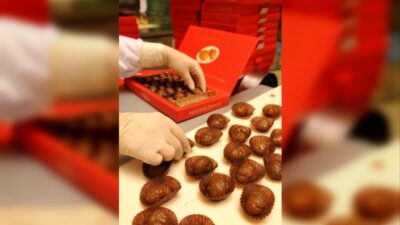  Kafkas Yoluna Devam Ediyor