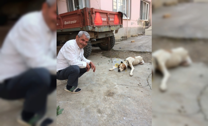 Emekli Öğretmen Mehmet Mersin, Cilt Kanseri Teşhisi Konulan 8