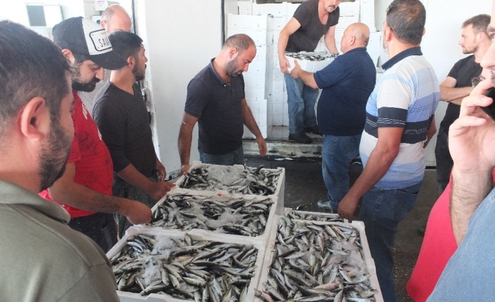  Güney Marmara'nın Balıkçılık Merkezi Balıkesir'in Bandırma İlçesinde Su Ürünleri