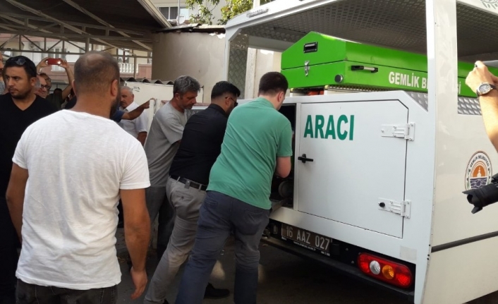  Bursa'nın Gemlik İlçesinde Üniversite Öğrencisi Oğlu Tarafından 50 Yerinden