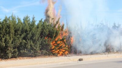  Orhangazi’de Göl Yolu Üzerindeki Bir İşyerinin Dış Cephe Duvarlarının