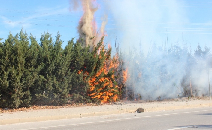 Orhangazi’de Göl Yolu Üzerindeki Bir İşyerinin Dış Cephe Duvarlarının