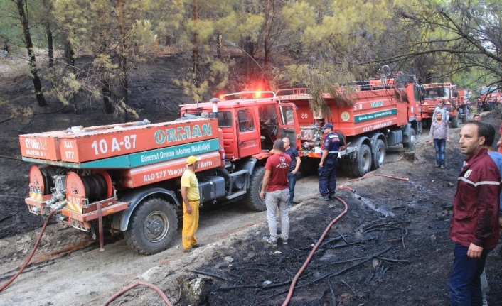 Kazdağları'nda Çikan Orman Yangını Orman Müdürlüğü İtfaiye Ekiplerince Söndürüldü.