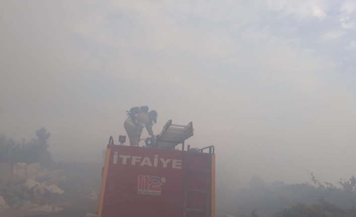  Balıkesir'in Edremit İlçesinde Bulunan Kaz Dağları'ndaki Çöplük Alanda, Henüz