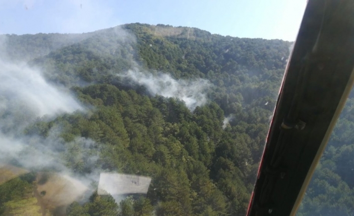 Balıkesir’in Edremit İlçesi Kazdağların’da Ormanlık Alanda Çikan Yangına Ekipler Havadan