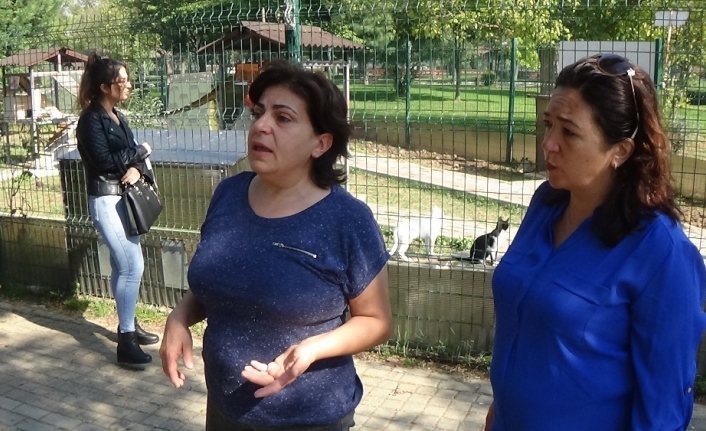 Bursa'nın İnegöl İlçesinde Bir Parkta Temizlik İşçileri, Poşet İçerisinde Yanmış
