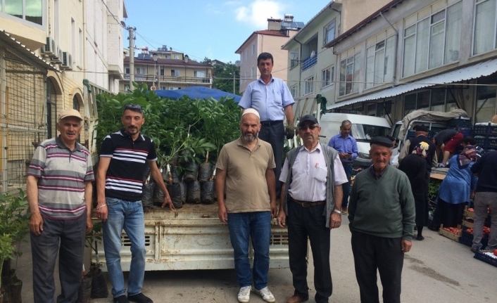  Ziraat Odası Tarafından Çiftçilere Ceviz Ve Badem Fidanı Satışına