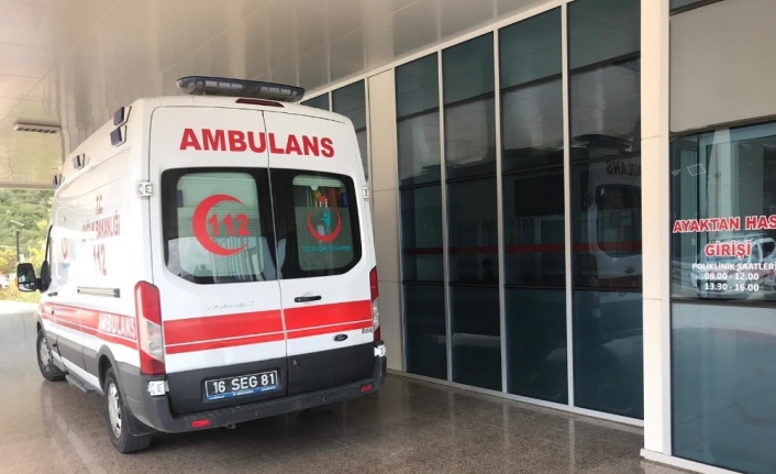 Orhangazi’ye Bağlı Paşapınar Mevkiinin Ormanlık Alanında Orman İşletme Şefliğine Bağlı
