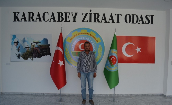  Bursa’nın Karacabey Ovası'nda Kışlık Sebze Hasadına Başlandı Ancak Fiyatlar