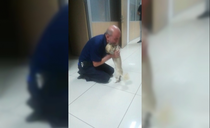 Bursa'da Parkta Gezdirdiği Köpeği, Sevme Bahanesiyle Gelen 2 Kişi Tarafından
