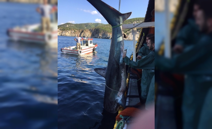  Balıkesir'in Erdek İlçesindeki Bir Balıkçıya, Bir Süre Önce Denizden