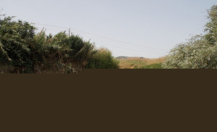 İzmir’de Bozdağlar’dan doğup Selçuk’ta denize kavuşan Küçük Menderes Nehri, yıllardır