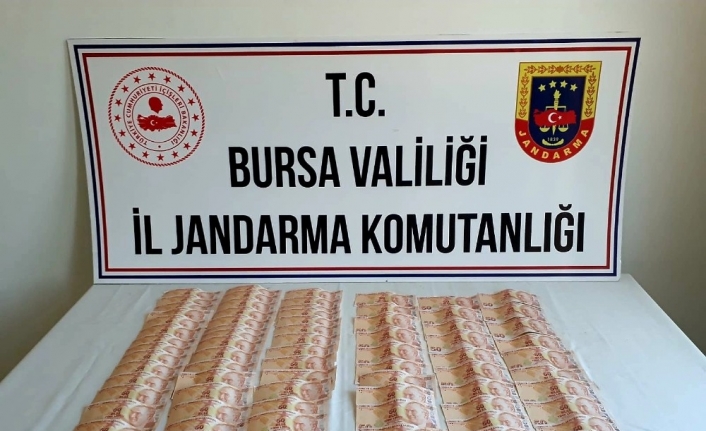 Bursa İl Jandarma Komutanlığı ekipleri, bir çetenin çok sayıda şehirde