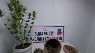  Bursa İnegöl Jandarma Komutanlığı Ekipleri, Kalburt Mevkisinde Bulunan Lokanta