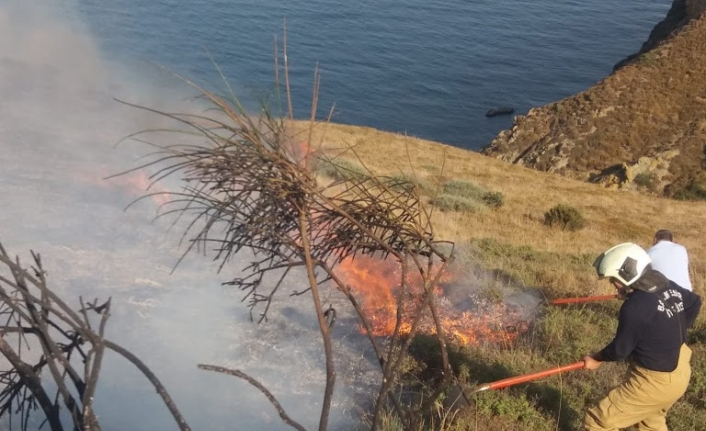  Erdek İlçesi Kırsal Çakil Mahallesi Kapseles Mevkii’nde Makilik Alanda