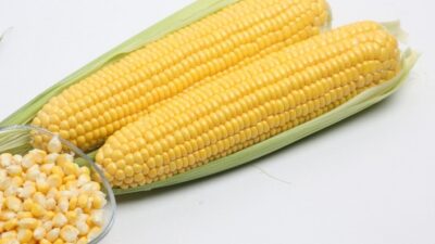 Dünyanın önde gelen tatlı mısır tohum üreticilerinden MAY Tohum, portföyündeki