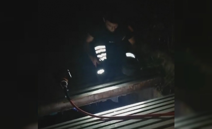 İzmir’in Karşıyaka ilçesinde, yağmur suyu giderine düşerek mazgala sıkışan yavru