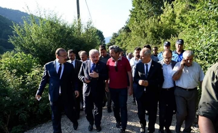  Türkiye Büyük Millet Meclisi (tbmm) Başkanı Mustafa Şentop, Danışmanı
