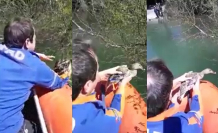 AFAD ekipleri sadece insanların değil hayvanların da imdadına yetişiyor. Bursa’da