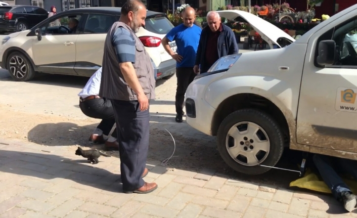 Bursa’nın Orhangazi ilçesinde PTT kurye aracının motoruna giren yavru kedi,