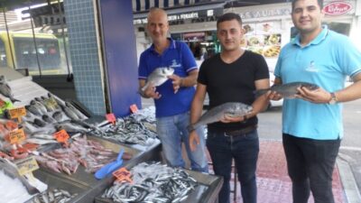  Mudanya Balıkçı Pazarında Artan Balık Fiyatları Cep Yakıyor.