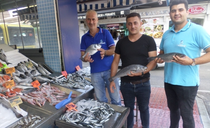  Mudanya Balıkçı Pazarında Artan Balık Fiyatları Cep Yakıyor.