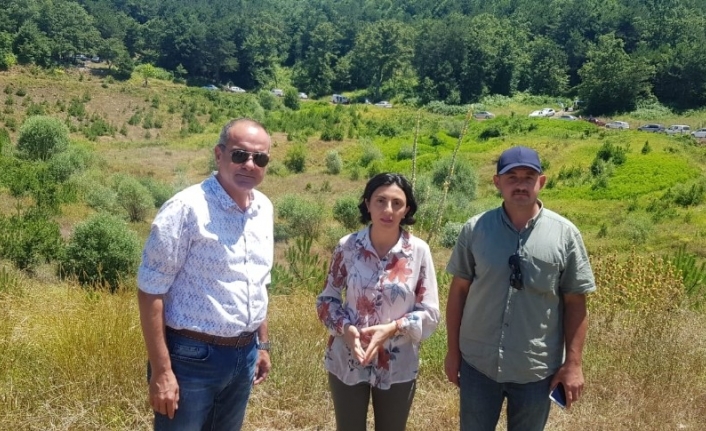 Chp Bursa Milletvekili, Tbmm Başkanlık Divanı Üyesi Nurhayat Altaca