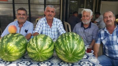  İran Ve Adana Karpuzunun Ardından Yaklaşık 10 Gün Önce