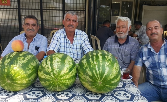  İran Ve Adana Karpuzunun Ardından Yaklaşık 10 Gün Önce