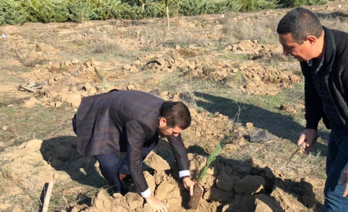  Balıkesir’in Sındırgı İlçesinde Milli Eğitim, Kaymakamlık, Belediye Ve Orman