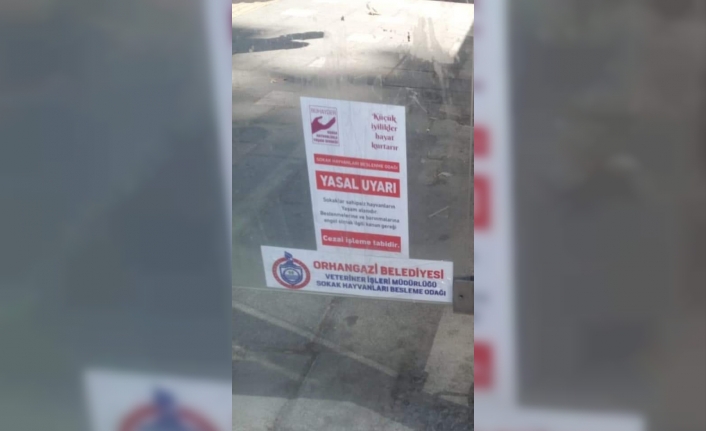 Orhangazi Belediyesi Veteriner İşleri Müdürlüğü Tarafından Sokak Hayvanlarına Yönelik