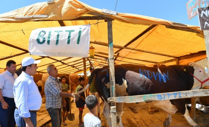  Osmangazi Belediyesi, Vatandaşların Kurbanlarını Rahat Ve Hijyenik Ortamda Kesebilmesi